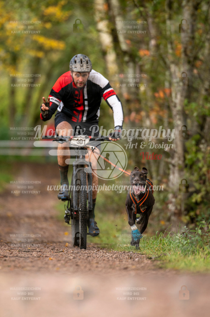 TSB_2023_E4_Bike-30 | PayLife