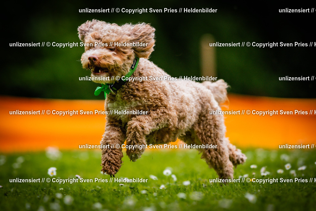 Sven Pries | 2025-05-29 - Pudelrennen KA-Durlach - Realisiert mit Pictrs.com