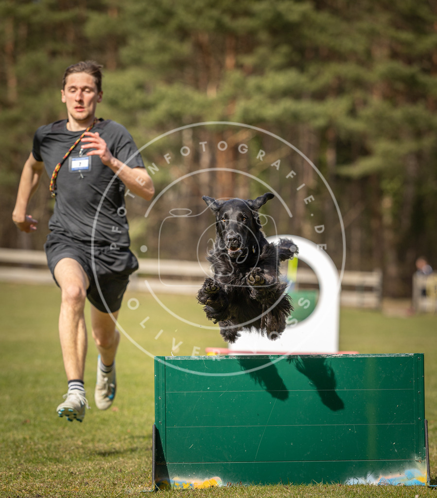 Pfotenfotografie_DV3A0425 | Hundefotografie, Tierfotograf, Pfotenfotografie, Fotoshooting Hund, Hunde Portrait, Hundesport, Hundeportraits, Heideshooting, Hunde, Sportfotograf, Hundefotograf, Turnierhundsport, THS,  - Realisiert mit Pictrs.com