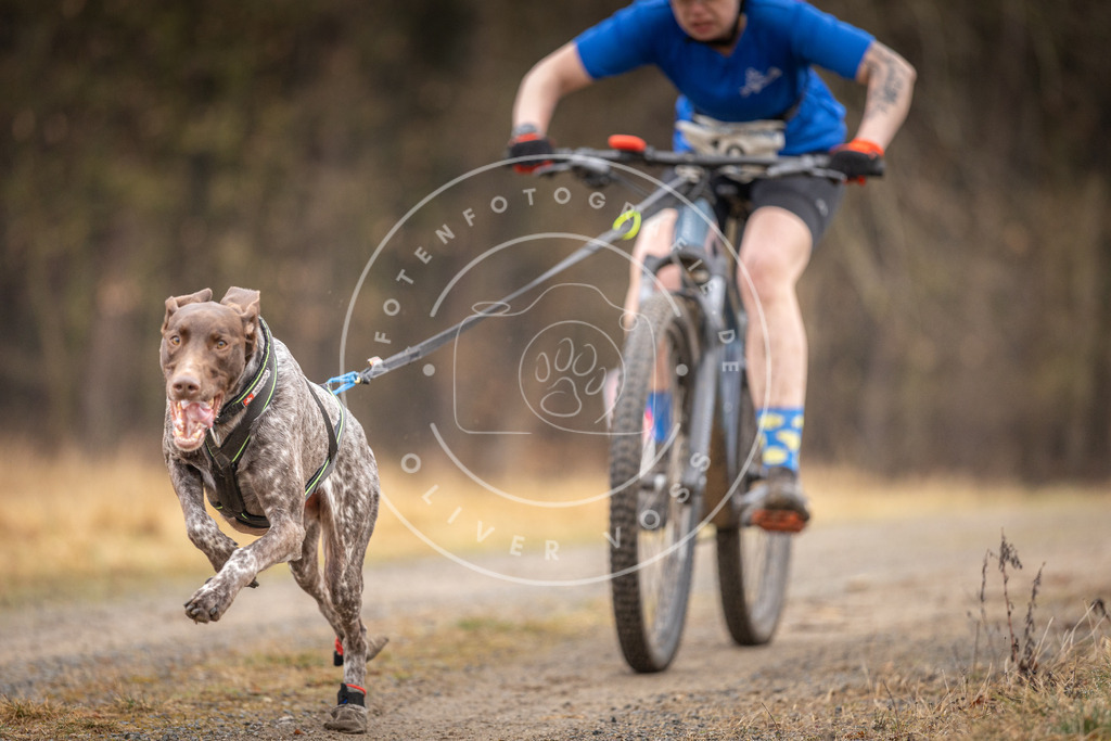 DV3A3247 | Hundefotografie, Tierfotograf, Pfotenfotografie, Fotoshooting Hund, Hunde Portrait, Hundesport, Hundeportraits, Heideshooting, Hunde, Sportfotograf, Hundefotograf, Turnierhundsport, THS,  - Realisiert mit Pictrs.com