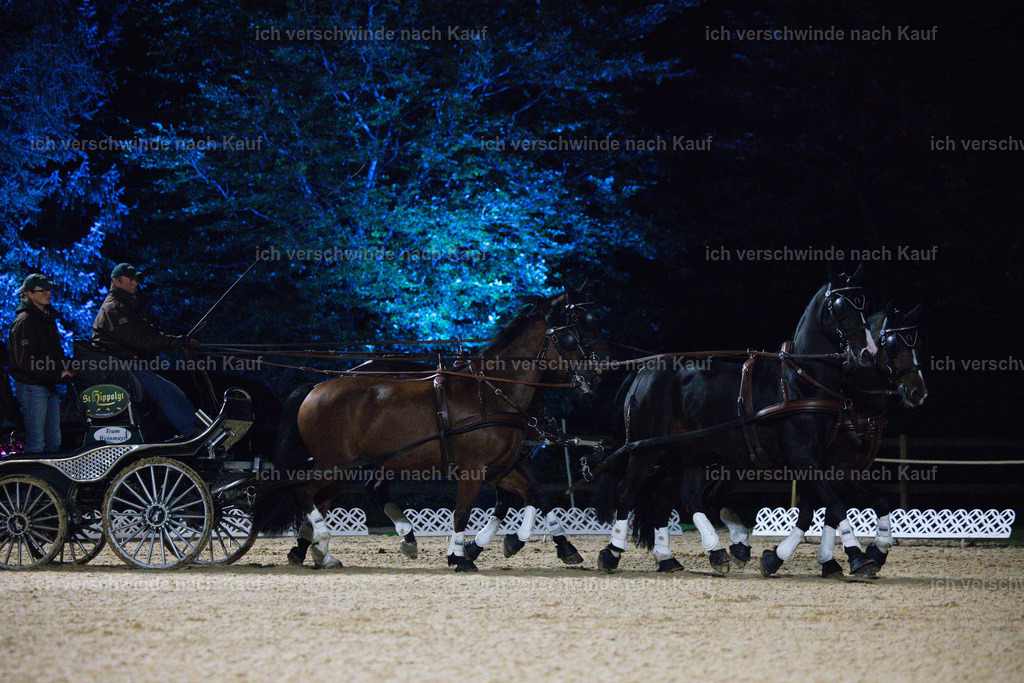 FHClassics-279 | working equitationturnier fotograf videograf stoibphotography marixx film working equitation deutschland reitsport turnierfotografie eventfotografie equestrian events