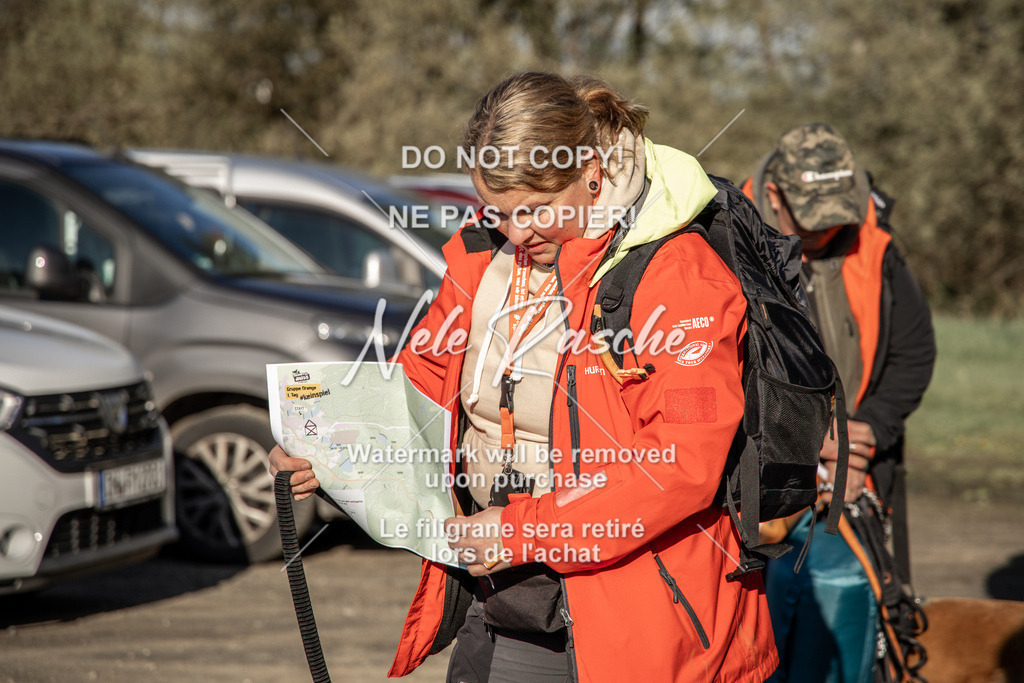 NR__0586-2 | nelerasche