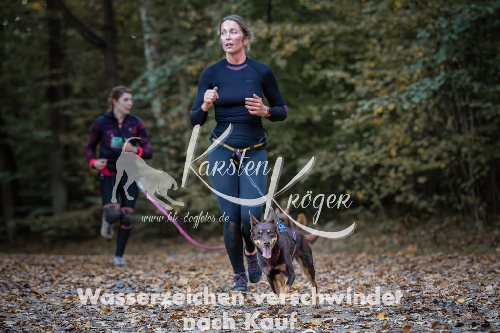 0902_ZZ96867 | kk-dogfotos