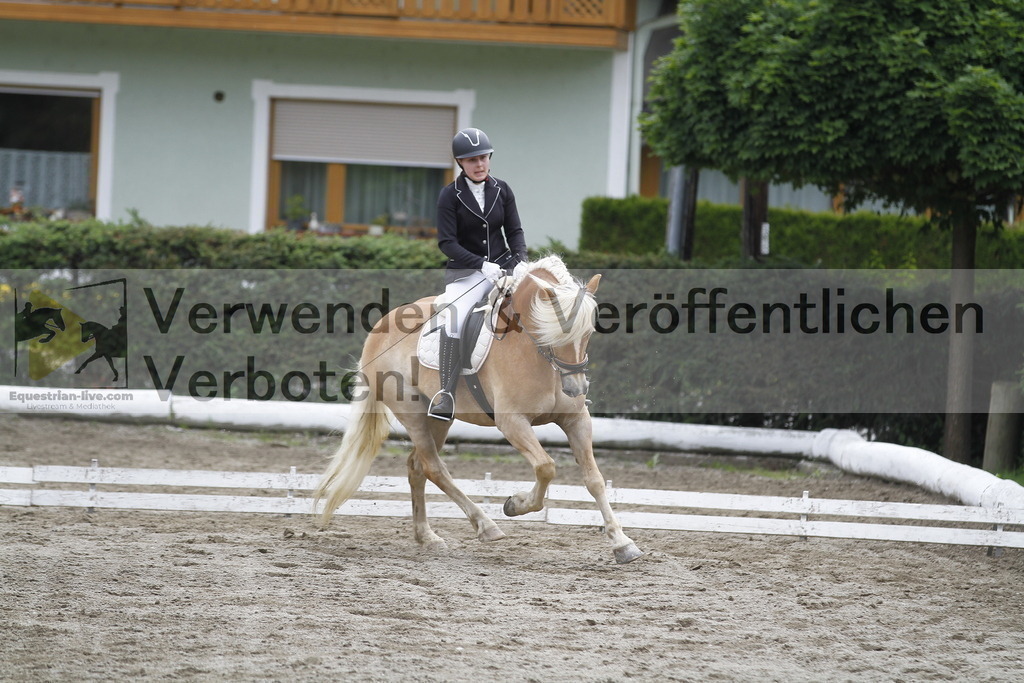 _MG_0973 | equestrian-live-com