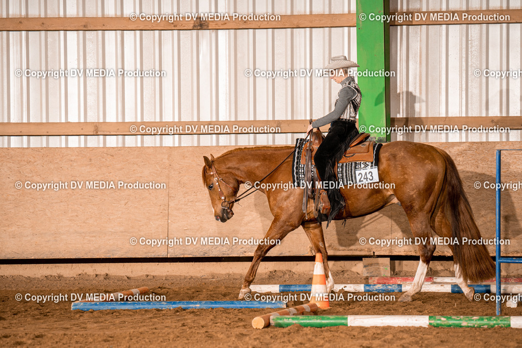 BA400210 | dv-media-shop - Realisiert mit Pictrs.com