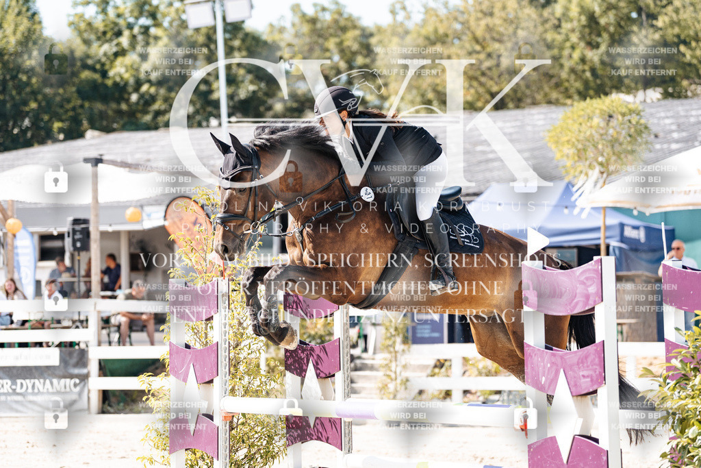 CK908289 | Turnierfotografie Pferdefotografie Trier Rheinland-Pfalz Pferdesport Reitsport Tierfotografie Sportfotografie Pferdevideo Pferdevideografie Equestrianvideography equestrianphotography  - Realisiert mit Pictrs.com
