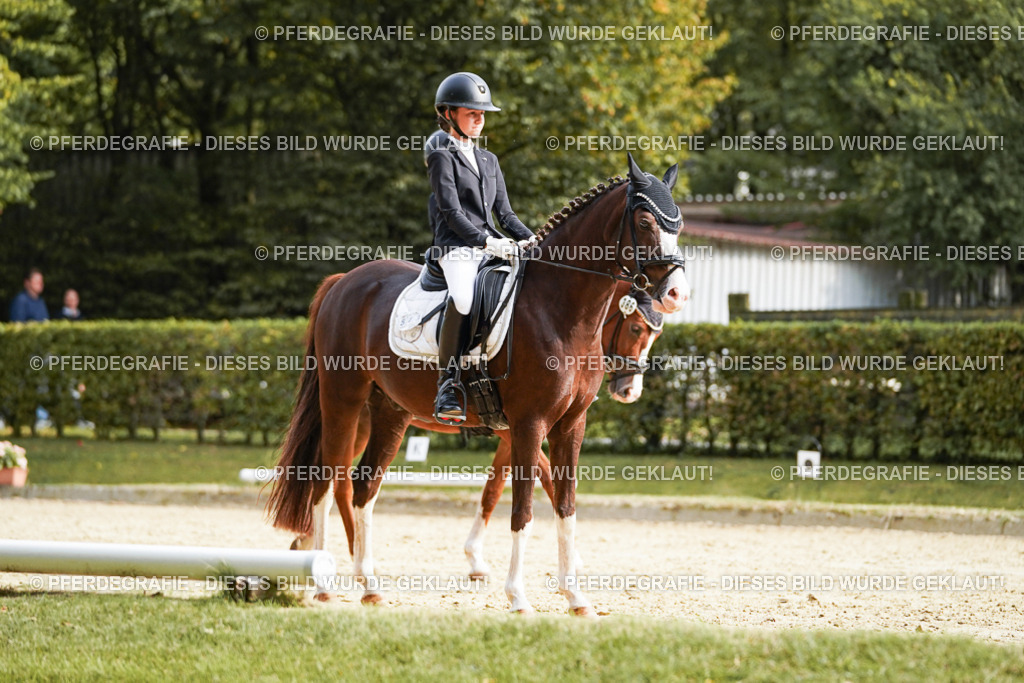 DSC05066 | Pferdegrafie