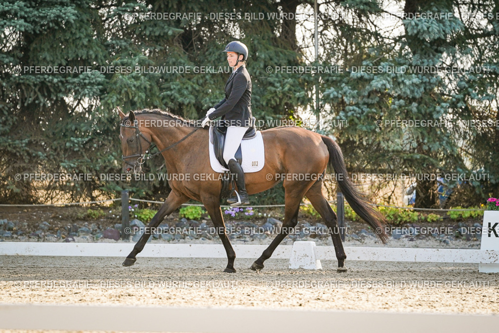 DSC08364 | Pferdegrafie