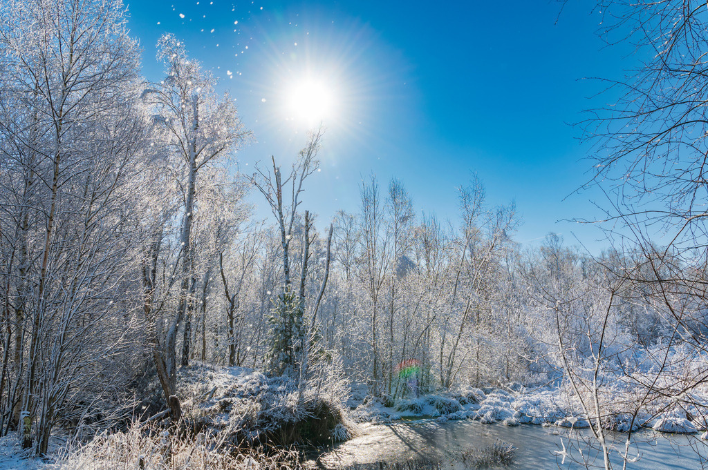 2023_03_11_MCP7343 | Hochwertig gedruckte Fotografien für die Wand, als Kalender und zum Verschenken. Hamburg & Norddeutschland und überall wo ich mit der Kamera unterwegs war.