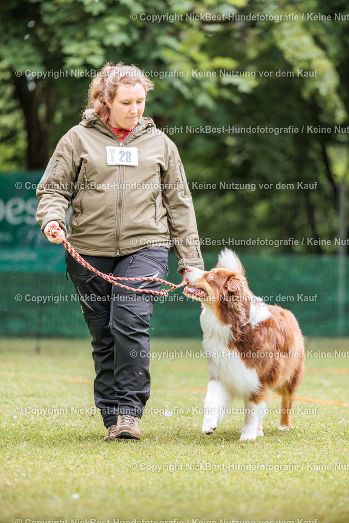 RO-Blumenthal-2026-Nickbest-Hundefotografie-2291 | Dein Hund! Dein Moment! Deine Erinnerungen! Hundefotografie in Bremen Blumenthal. Ich fange die besonderen Momente deines Vierbeiners ein – ob Indoor mit Blitzanlage oder in der freien Natur. Sicher dir dein Moment und dein Termin für eure Erinnerungen.
