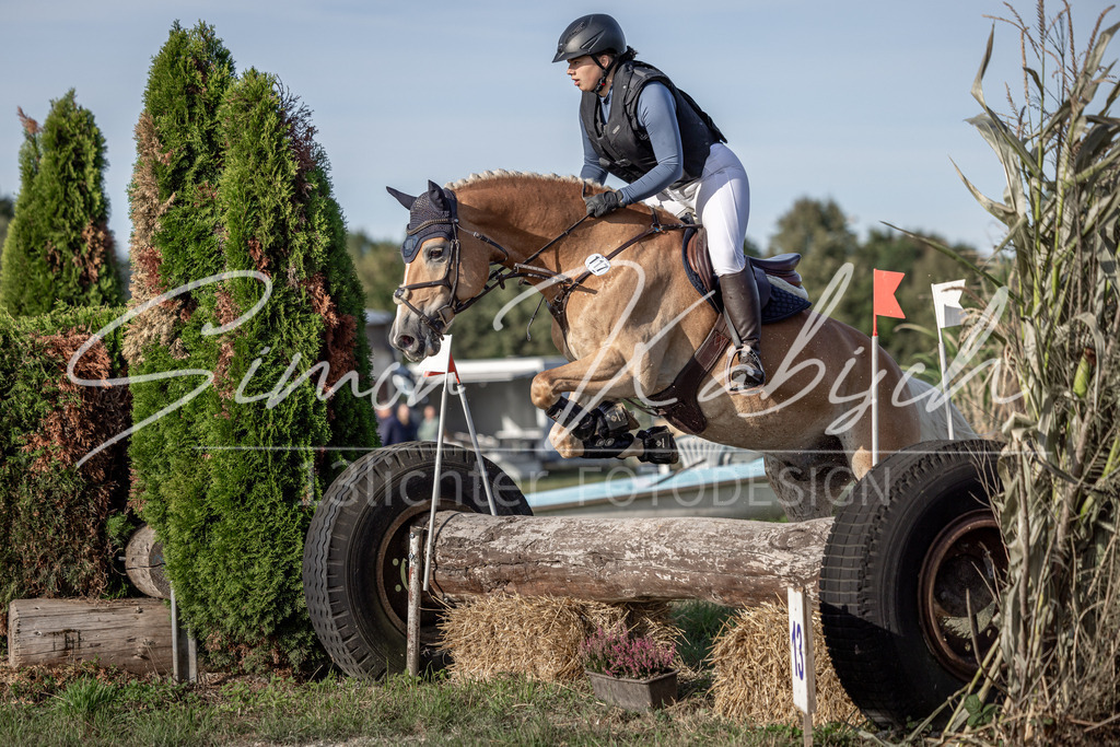 20250907-_3LI8766 | Tierfotografie Pferde, Hunde, Katzen, Haustiere.
Turnierfotografie Reitturniere, Reiten, Springreiten, Dressur in Hanau, dem Main-Kinzig-Kreis und dem Rhein-Main- Gebiet um Frankfurt