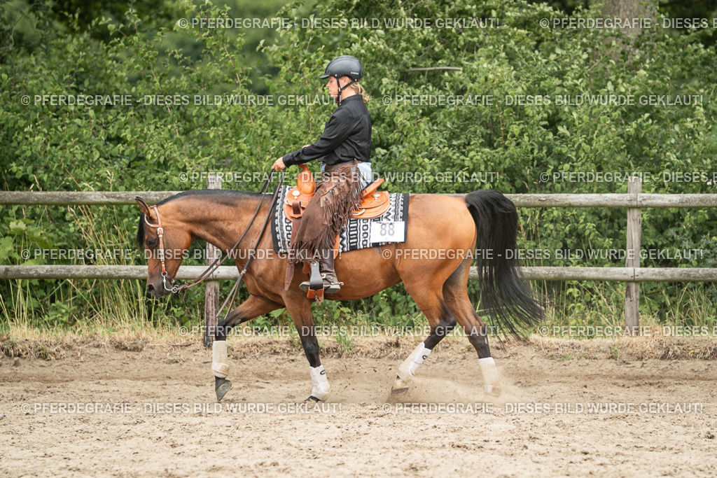 DSC04140 | Pferdegrafie