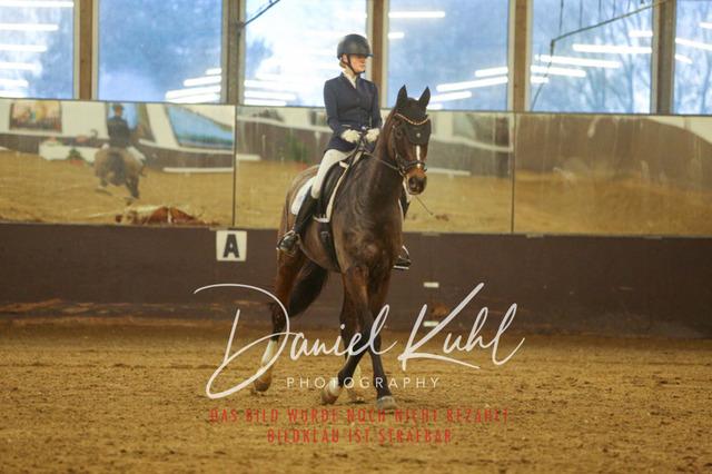 IMG_7024 | Turniersportfotografie; Pferdefotografie; Dressurfotografie