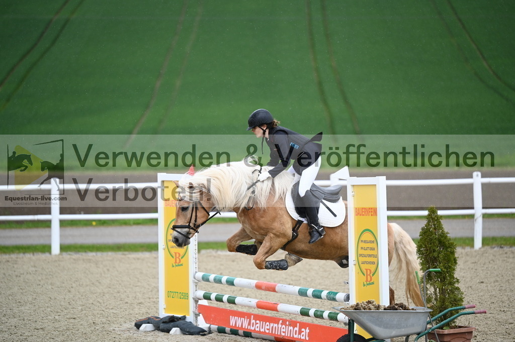 DSC_0015 | equestrian-live-com