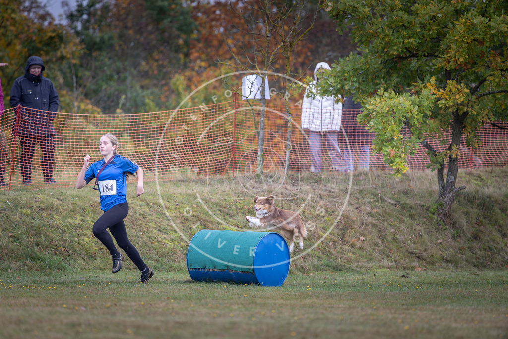 Pfotenfotografie_DV3A0401 | Hundefotografie, Tierfotograf, Pfotenfotografie, Fotoshooting Hund, Hunde Portrait, Hundesport, Hundeportraits, Heideshooting, Hunde, Sportfotograf, Hundefotograf, Turnierhundsport, THS,  - Realisiert mit Pictrs.com