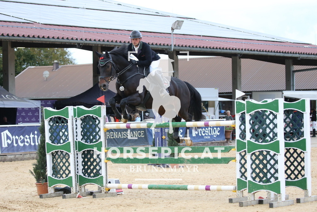 DL2Q5724 | Willkommen bei Brunnmayr - Design & Fotografie – Ihrem Spezialisten für Reitturniere und Pferdeveranstaltungen in Oberösterreich, Salzburg und Bayern! Seit über 17 Jahren sind wir leidenschaftlich dabei.