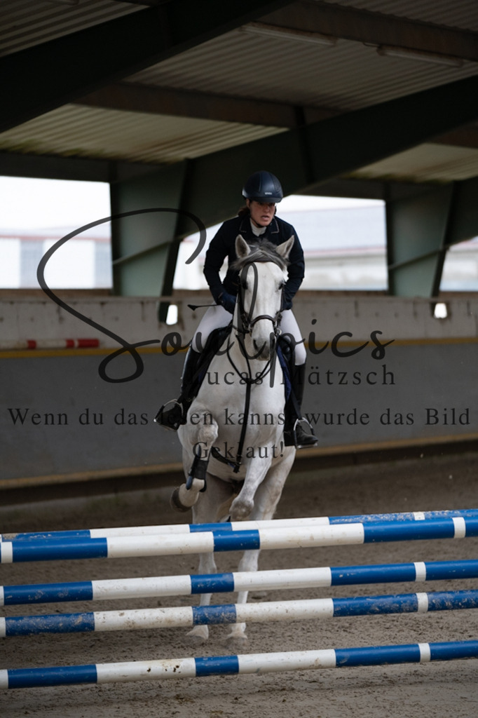 A7V07247 | Pferdefotograf