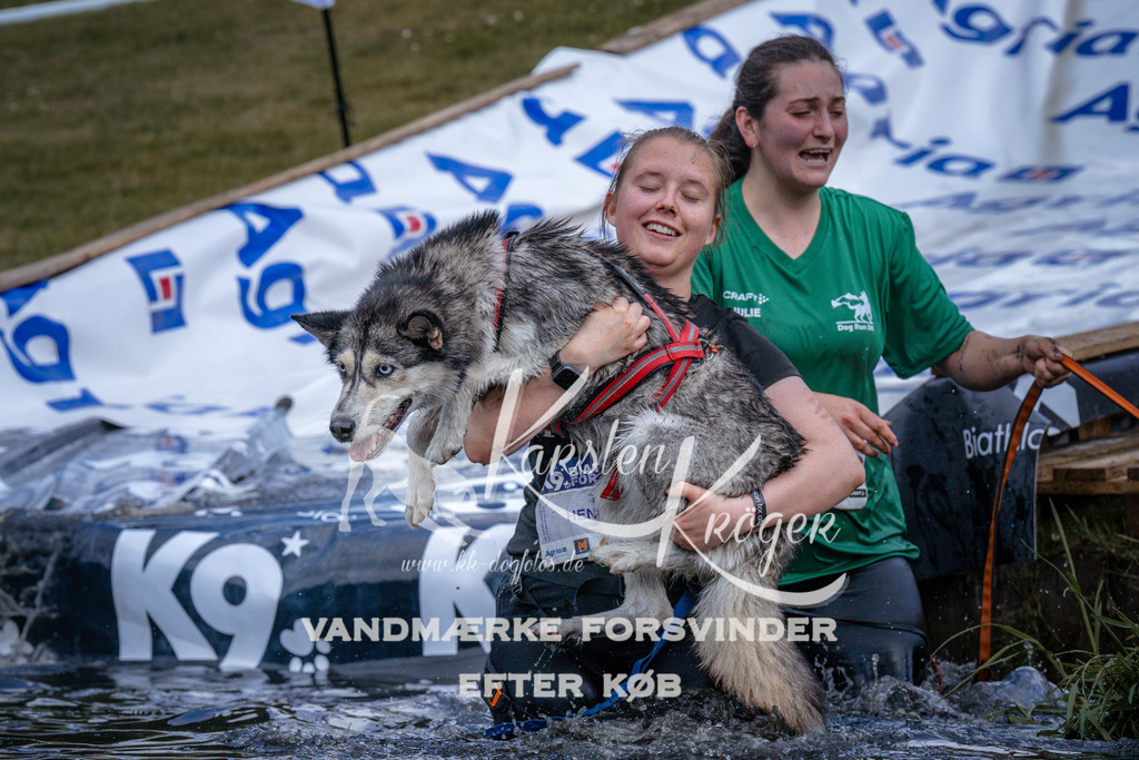 _ZZ912480912 | kk-dogfotos