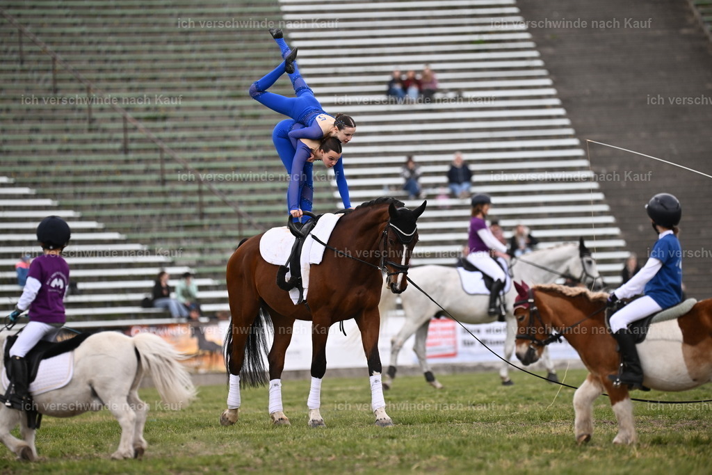 PI26_Show_Sara_Landvogt_226_1694.JPG | working equitationturnier fotograf videograf stoibphotography marixx film working equitation deutschland reitsport turnierfotografie eventfotografie equestrian events