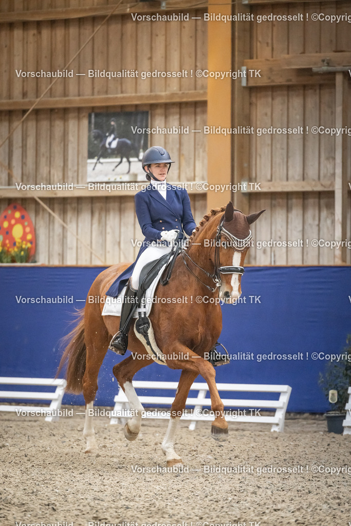 _D5A4432 | Emotionale Pferde- & People-Fotografie rund um Heidelberg, Leimen & Umgebung. Natürliche Fotos von Pferd, Mensch & Familie. Jetzt Termin sichern!