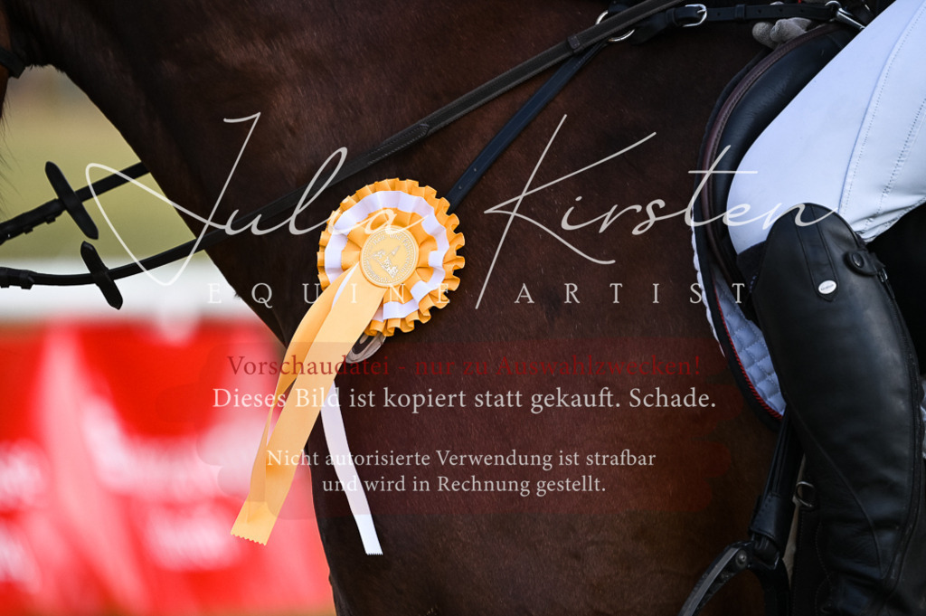 DSC_7647 | Pferde- und Turnierfotografie in Westsachsen. Pferdeportraits, Auftragszeichnungen und intuitive Kunst.