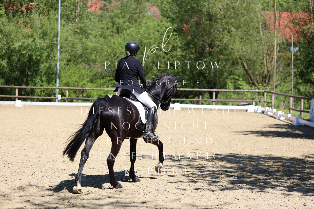 IMGS1774 | pl-fotografie