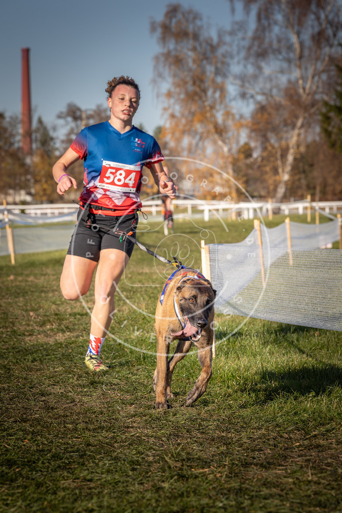 CaniXpix_0L8A8297 | Hundefotografie, Tierfotograf, Pfotenfotografie, Fotoshooting Hund, Hunde Portrait, Hundesport, Hundeportraits, Heideshooting, Hunde, Sportfotograf, Hundefotograf, Turnierhundsport, THS,  - Realisiert mit Pictrs.com