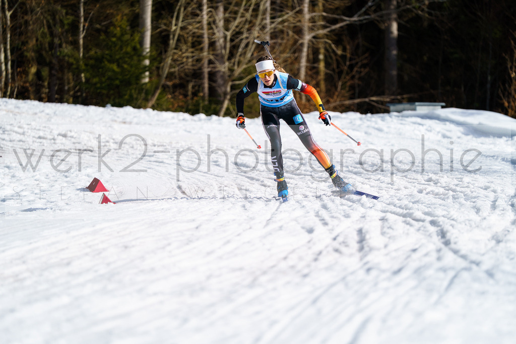 FESA Alpencup / DP Notschrei | Deutschland Pokal Finale im Schwarzwald NORDIC-CENTER Notschrei am 7. - 8. Februar 2026