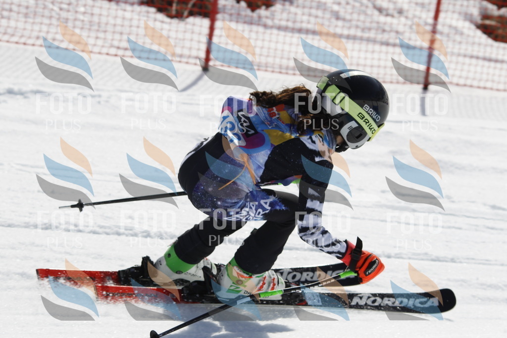 _U3G0927 | holidayphoto