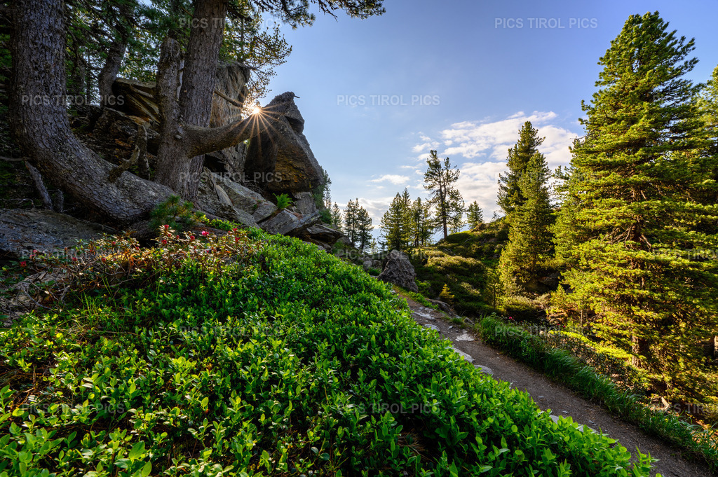 DSC_1164-HDR-Bearbeitet | Tirolpics