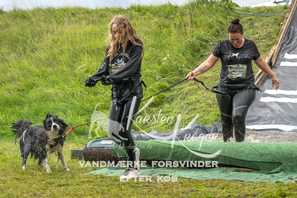 1602_ZZ92031 | kk-dogfotos