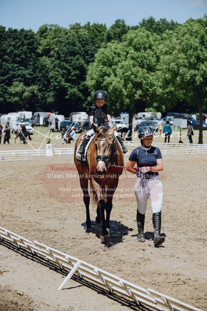 DSC_2386 | Pferde- und Turnierfotografie in Westsachsen. Pferdeportraits, Auftragszeichnungen und intuitive Kunst.