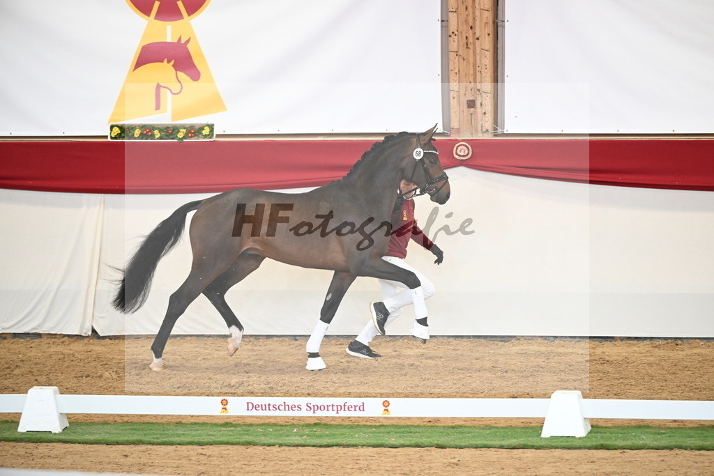 Kat.-Nr. 68 v. Fynch Hatton_Kampe_2250483 | hf-fotografie - Realizzato con Pictrs.com