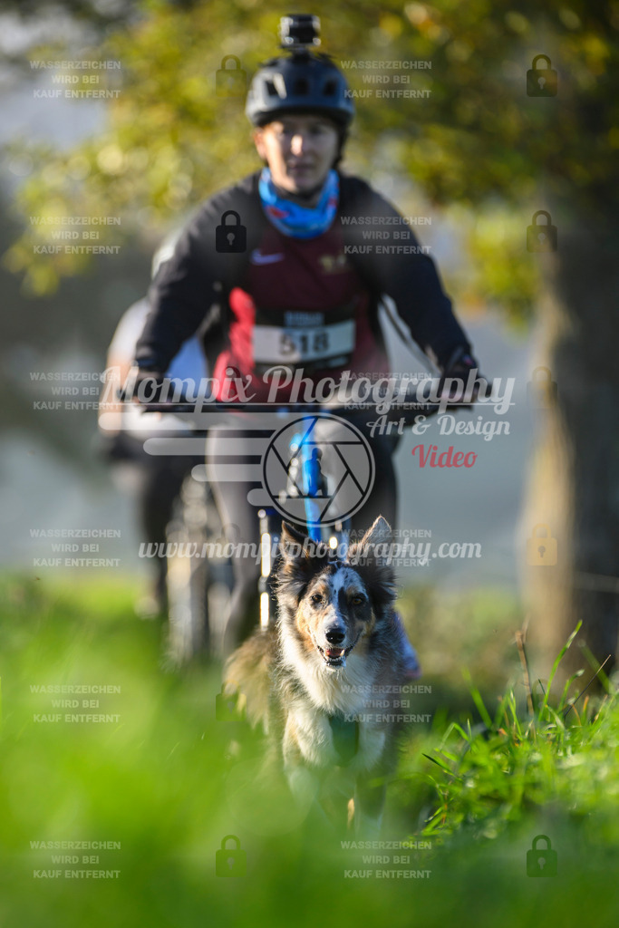 MompixPhotography_20TSB_E3_Bike-221 | PayLife