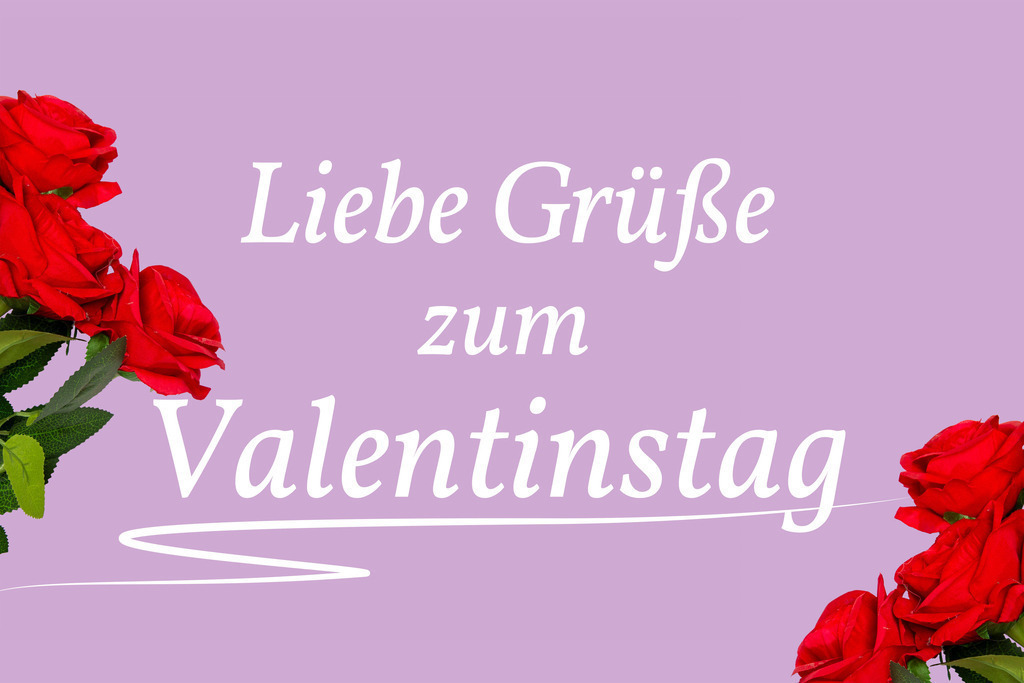 Valentinsgrüße: Rosen und Text LIEBE GRÜSSE ZUM VALENTINSTAG vor fliederfarbenem  Hintergrund | Valentinsgrüße: Rosen und Text LIEBE GRÜSSE ZUM VALENTINSTAG vor fliederfarbenem  Hintergrund - Realisiert mit Pictrs.com