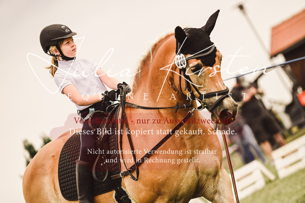 DSC_5213 | Pferde- und Turnierfotografie in Westsachsen. Pferdeportraits, Auftragszeichnungen und intuitive Kunst.