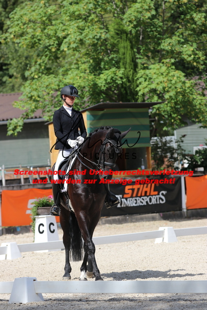 IMG_5301 | lmwpictures - Realisiert mit Pictrs.com