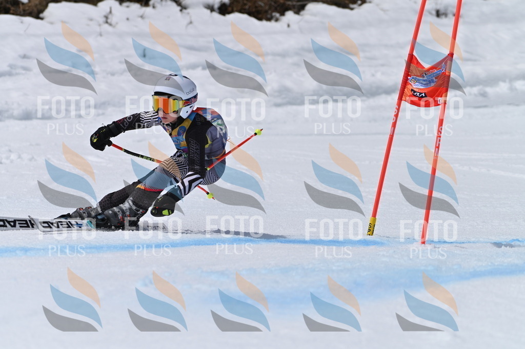 BGV_7107 | holidayphoto