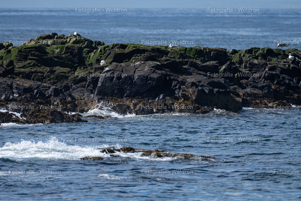 20230815 Isle of Sky - St.Andrews - Dundee-33 | Fotografie Woldron