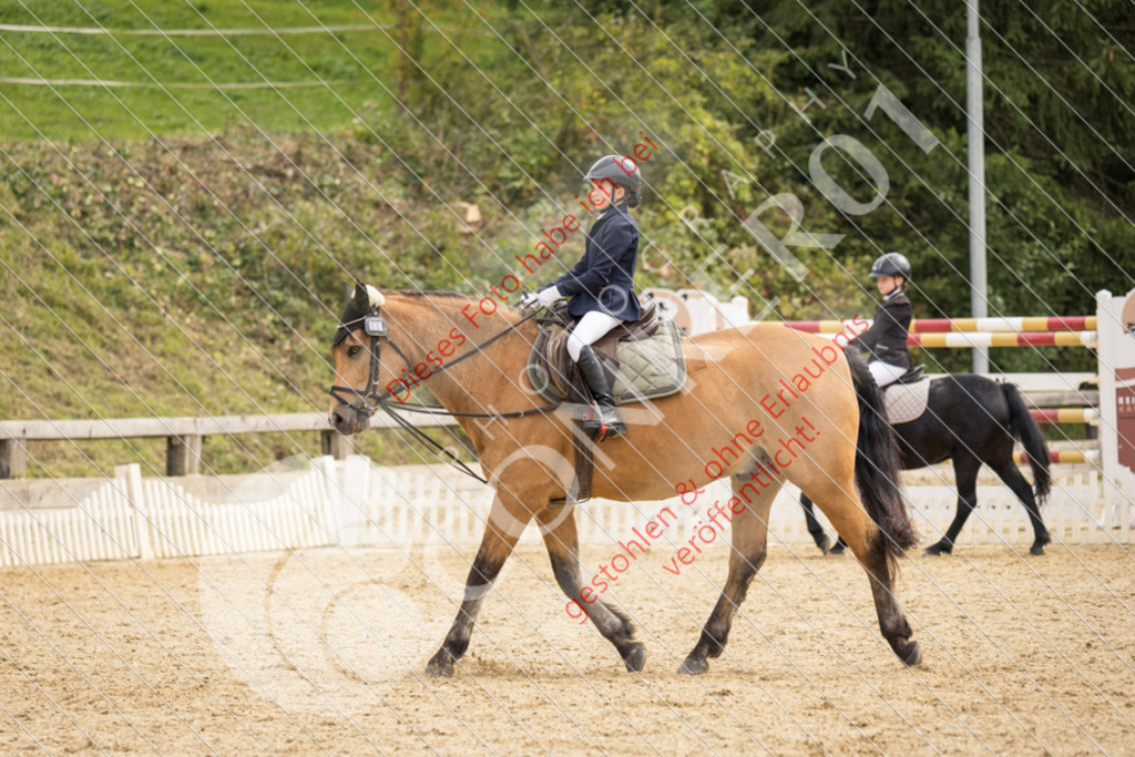 CON_0297 | Sport-, Event- und Tierfotos in Profiqualität. Einfach auswählen, bestellen und herunterladen. Dein Moment – perfekt festgehalten.