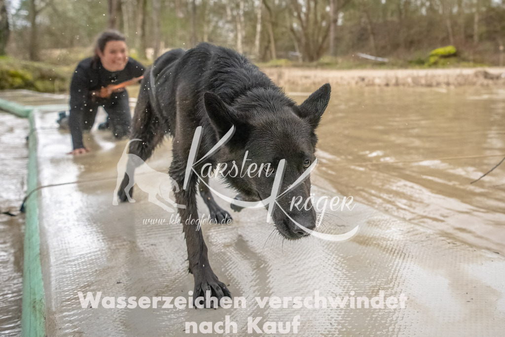 0901_ZZ90185-Bearbeitet | kk-dogfotos