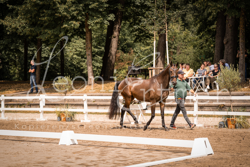 2. Fr00180 | Leoni Ertmer Photography - Realisiert mit Pictrs.com