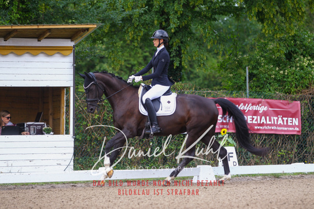 DKP41877 | Turniersportfotografie; Pferdefotografie; Dressurfotografie