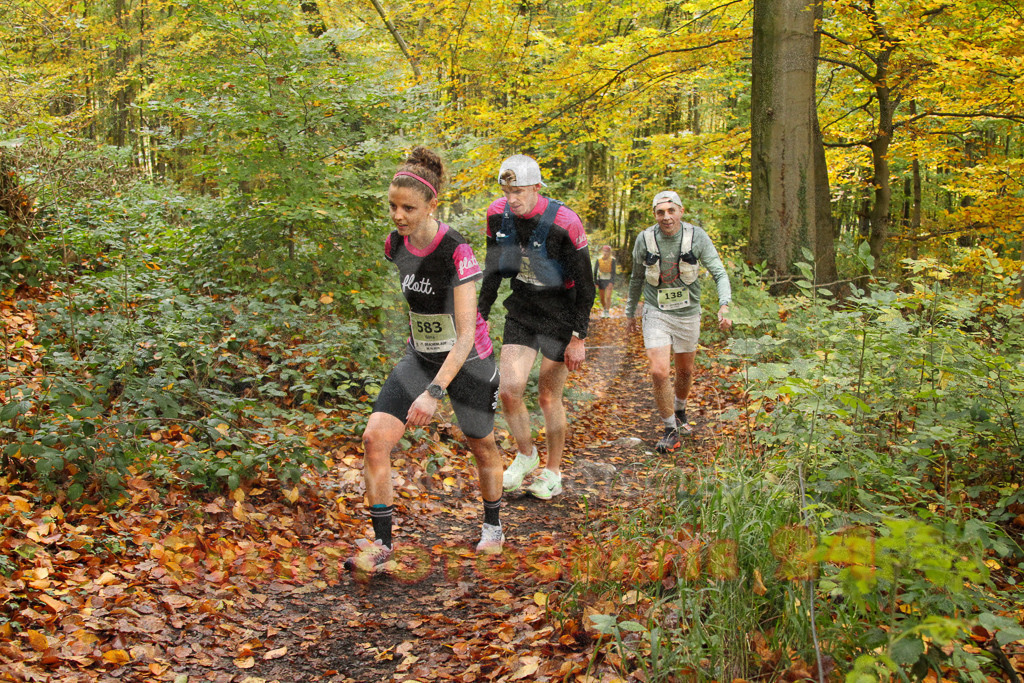 251026_1246_EV4_5815 | Sportfotografie im Rhein-Sieg Kreis, Köln, Bonn, NRW, Rheinland Pfalz, Hessen, etc. Unser Tätigkeitsfeld umfasst den Laufsport vom Volkslauf über den Marathon, Duathlon, Triathon bis zum Ultralauf wie Kölnpfad Ultra oder Schindertrail.