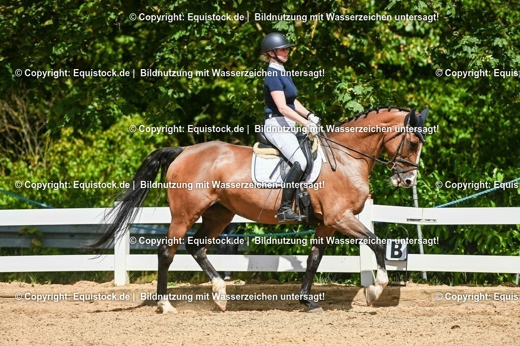 20230715_02_Dressurreiterprüfung Kl.L_0343 | equistock