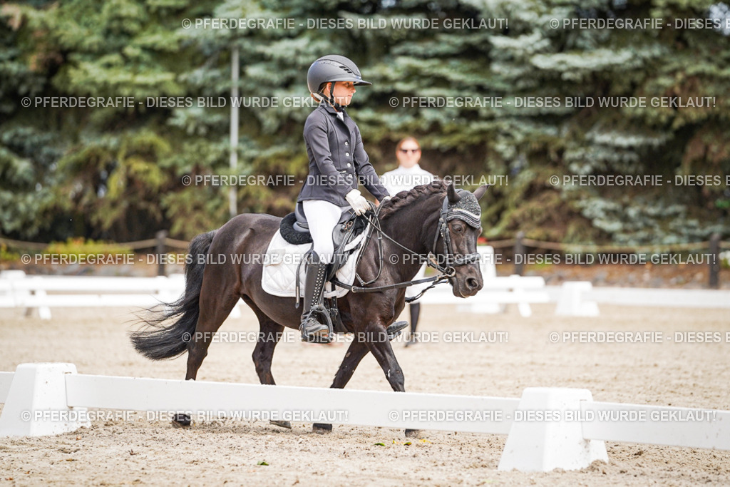 DSC02762 | Pferdegrafie