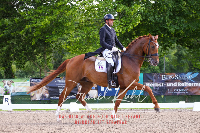 DKP41315 | Deine Turnierfotos vom Reitturnier online kaufen: Dressur, Springen & Siegerehrung. Professionelle Pferdefotografie aus dem Rheinland – als Download & Print.Alternative: Turnierfotograf für den Pferdesport: Finde deine Fotos von Dressur- und Springturnier