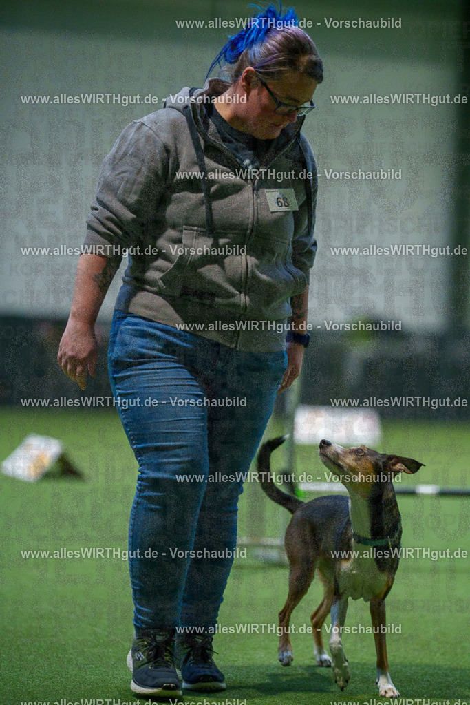 7R503809 | Professionelle Tierfotografie in Mönchengladbach von Daniel Wirth (allesWIRTHgut). Liebevolle & natürliche Bilder von Hunden & Katzen für unvergessliche Erinnerungen.