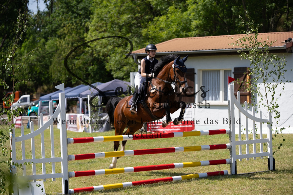 A7V06329 | Pferdefotograf