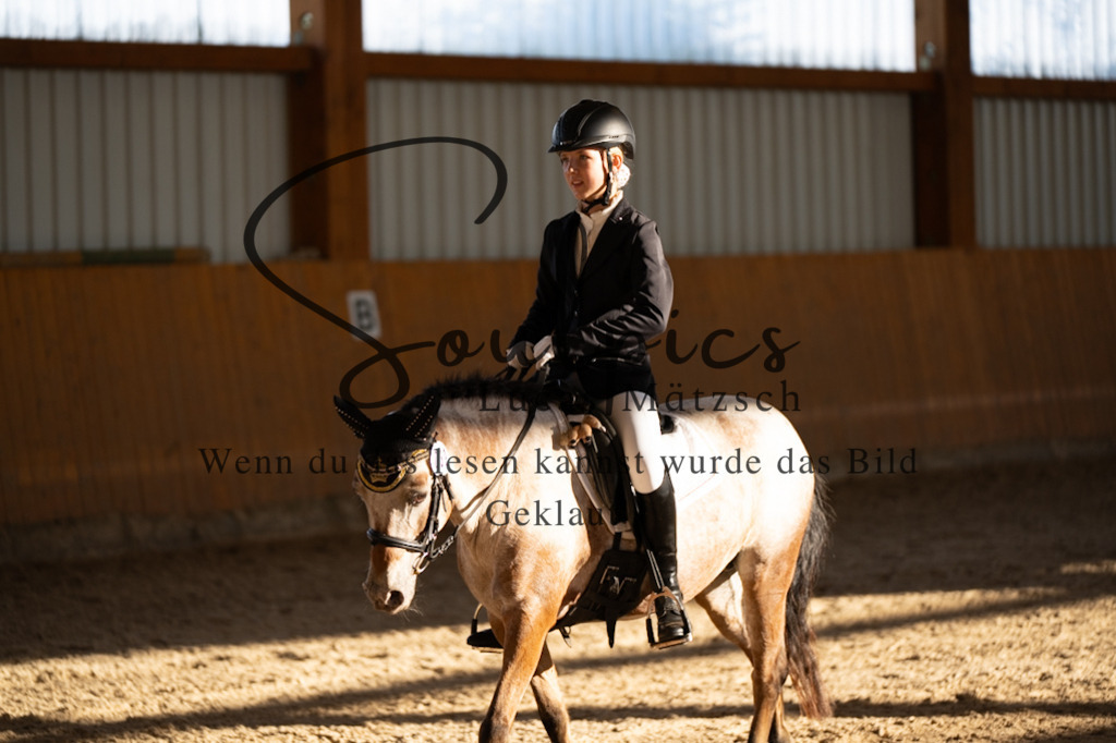 A7V01696 | Turnier/Reitfotograf
